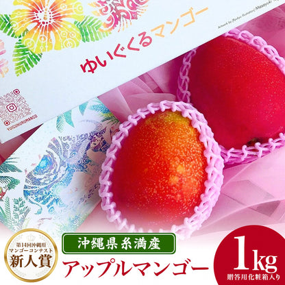 3_銀アップルマンゴー1kg　送料込